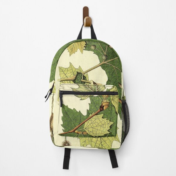Item preview, Sycamore Life Cycle designed and sold by NatureLand.