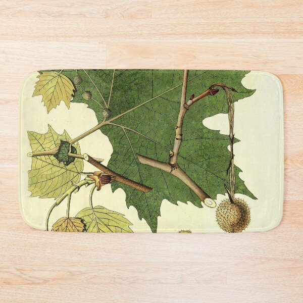 Item preview, Sycamore Life Cycle designed and sold by NatureLand.
