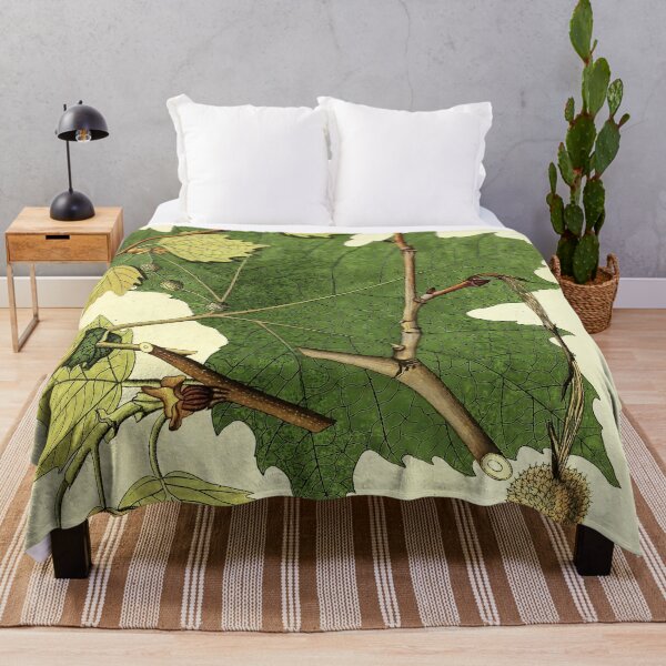 Item preview, Sycamore Life Cycle designed and sold by NatureLand.