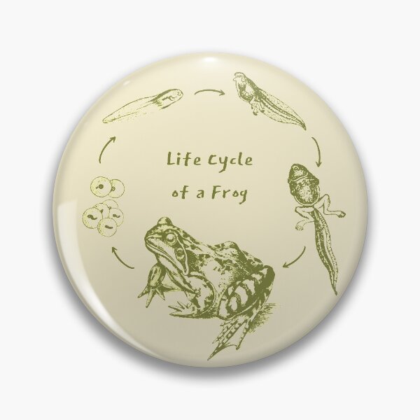 Item preview, Vintage Biology Frog Life Cycle Metamorphosis, Toad and Tadpole Design for Science Lovers and Natural History Fans designed and sold by MinistryOfFrogs.
