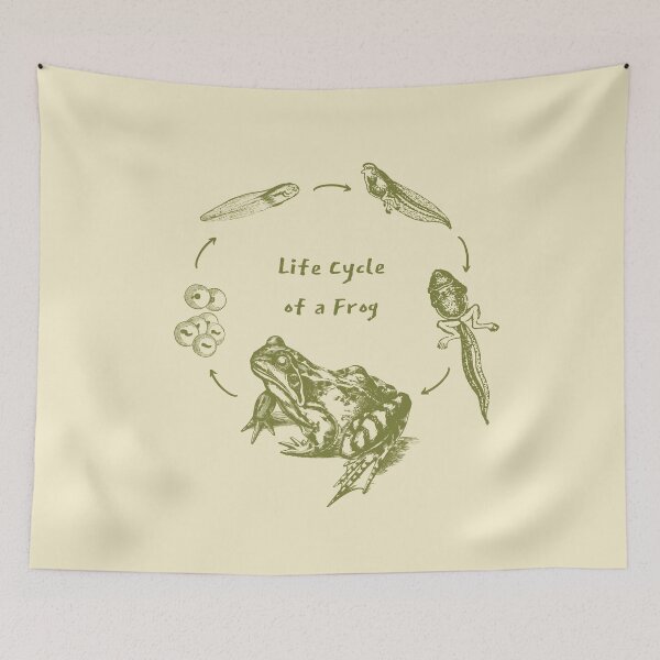 Item preview, Vintage Biology Frog Life Cycle Metamorphosis, Toad and Tadpole Design for Science Lovers and Natural History Fans designed and sold by MinistryOfFrogs.