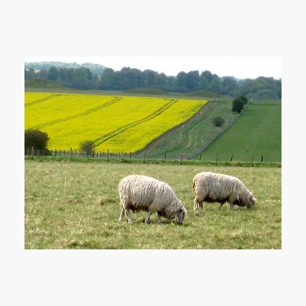 Item preview, Pastoral designed and sold by Avrora14.