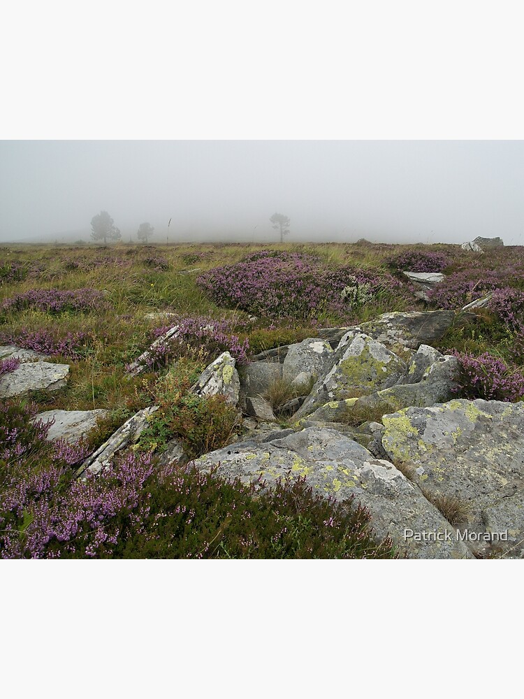 Land in the mist on Lauzière mountain by patmo