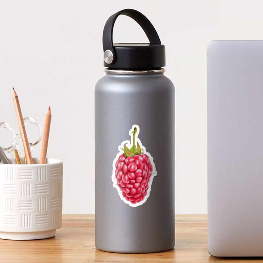 Raspberry Sticker