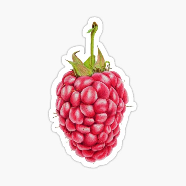 Raspberry Sticker