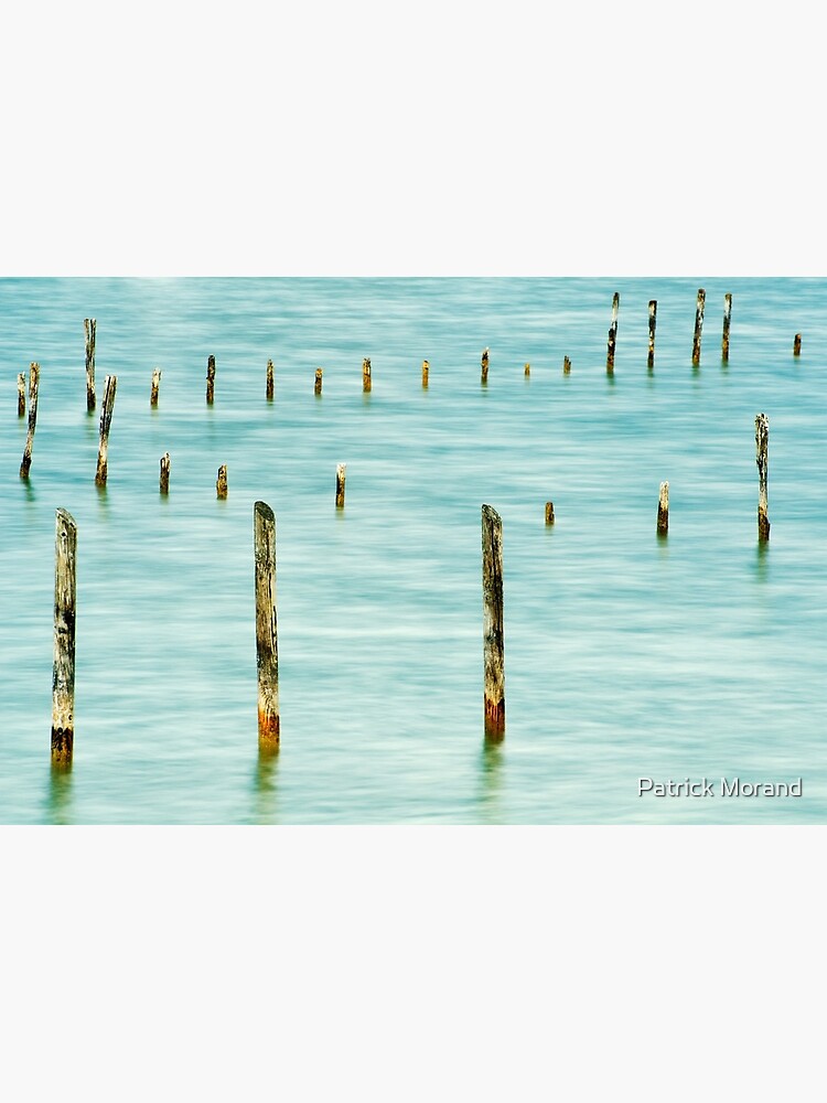 Poles in the lake by patmo