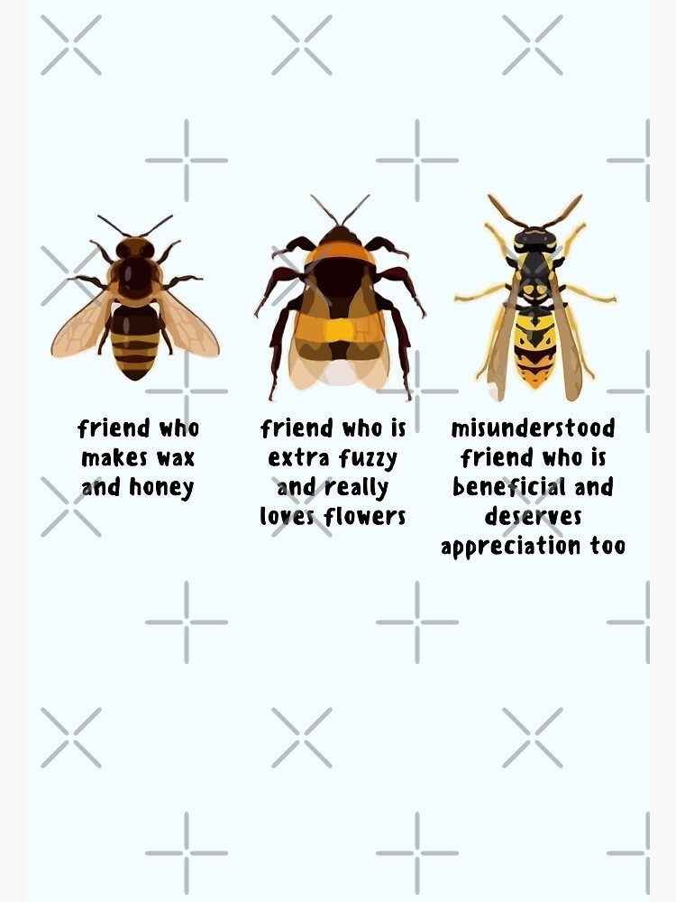 "Know Your Bees Bee And Wasp Chart Pollinators" Poster for Sale by