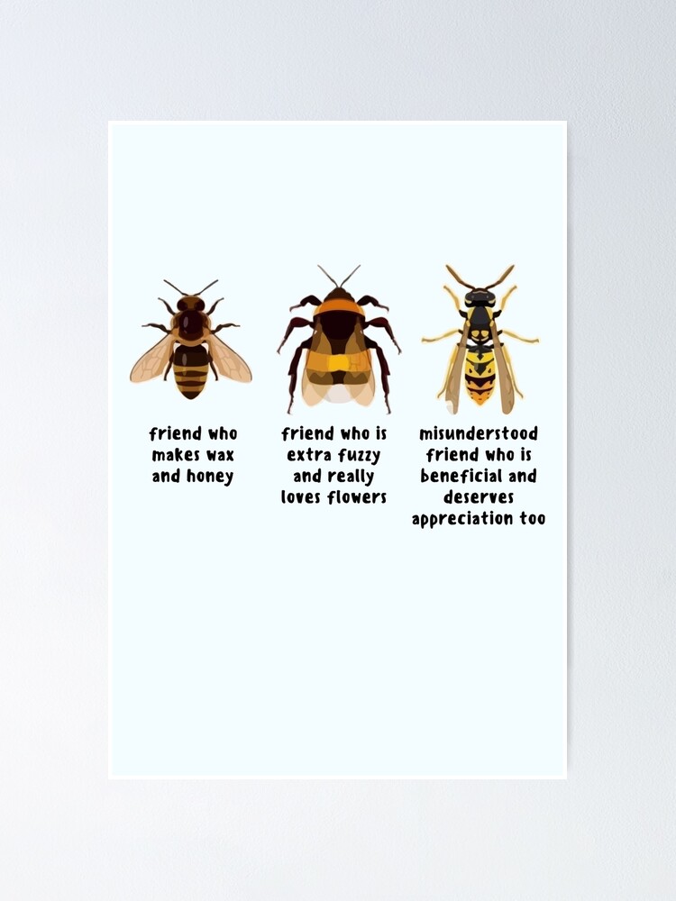 "Know Your Bees Bee And Wasp Chart Pollinators" Poster for Sale by