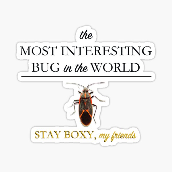 Item preview, The most interesting bug in the world designed and sold by MisterCritical.
