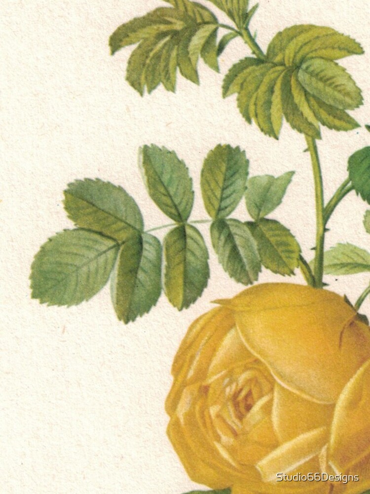 Thumbnail 4 of 4, iPhone Case, Stunning Yellow Roses designed and sold by Studio66Designs.