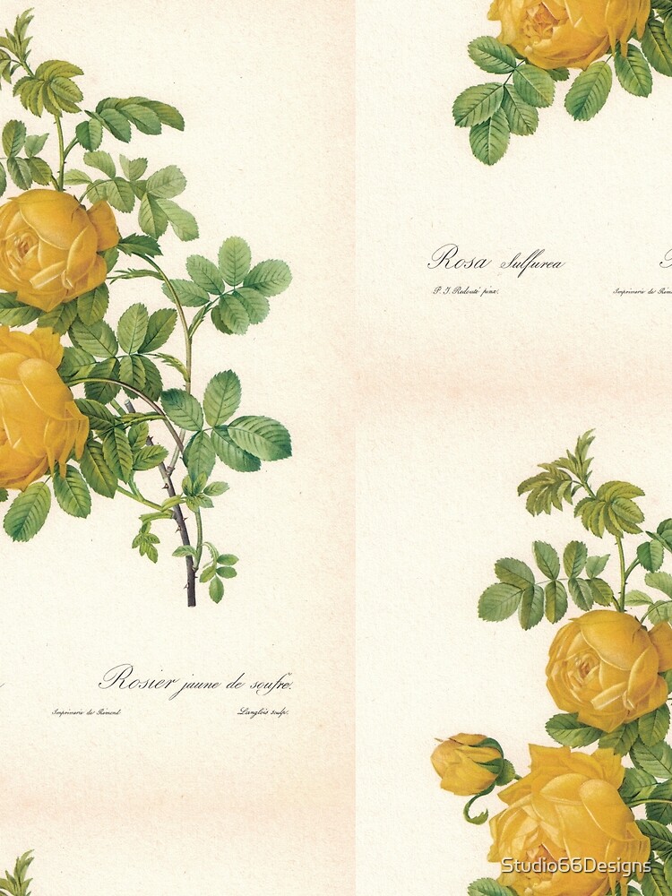 Thumbnail 3 of 3, Scarf, Stunning Yellow Roses designed and sold by Studio66Designs.