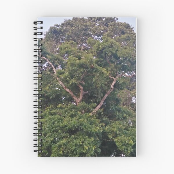 Item preview, Arbol y cielo designed and sold by Udeshi.