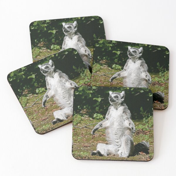 Item preview, r1105/ Finition 2021  Les Primates: Lémurien " le Maki Catta en plein bain de Soleil  ! "   2016 (c) Olavia-Olao Okaio Créations designed and sold by o.okaïo.
