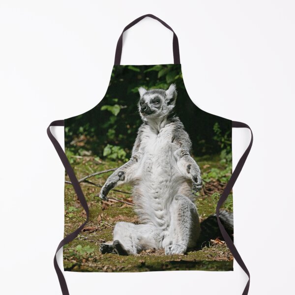 Item preview, r1105/ Finition 2021 Les Primates: Lémurien " le Maki Catta en plein bain de Soleil ! " 2016 (c) Olavia-Olao Okaio Créations designed and sold by o.okaïo.