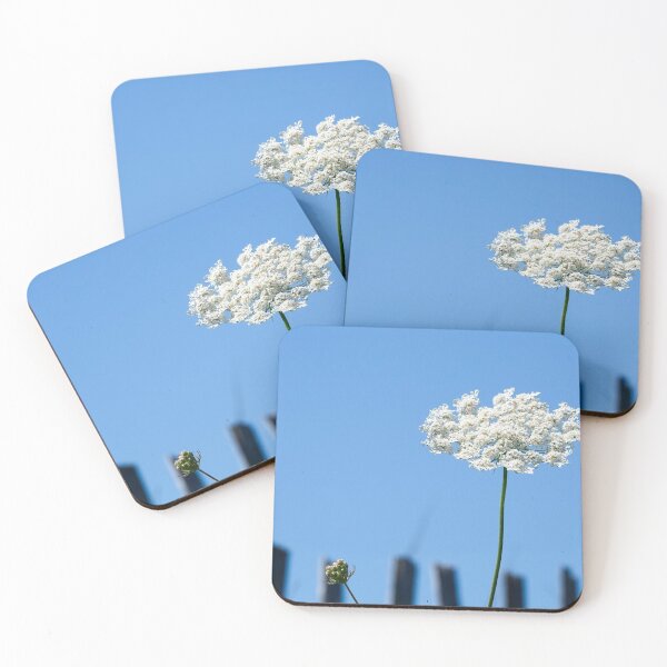 Item preview, Single white wildflower designed and sold by C Schabowski.