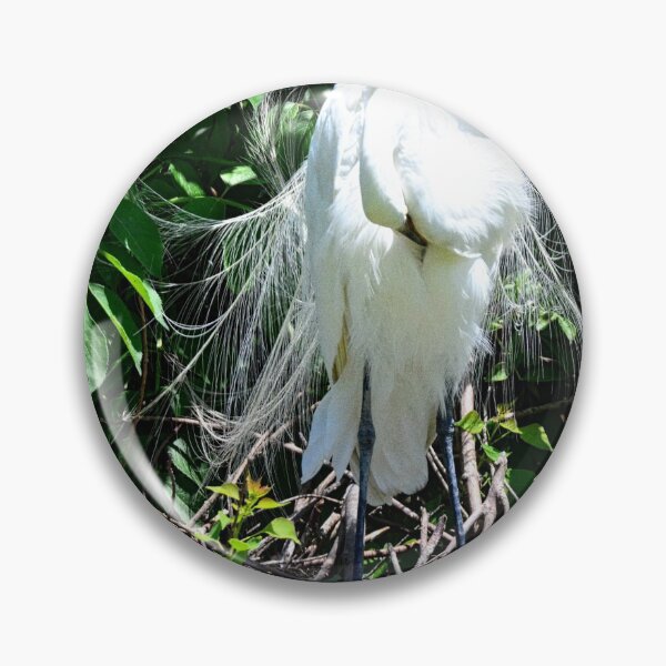 Item preview, Pruning Great Egret designed and sold by LisaWootenPhoto.