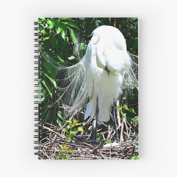 Item preview, Pruning Great Egret designed and sold by LisaWootenPhoto.
