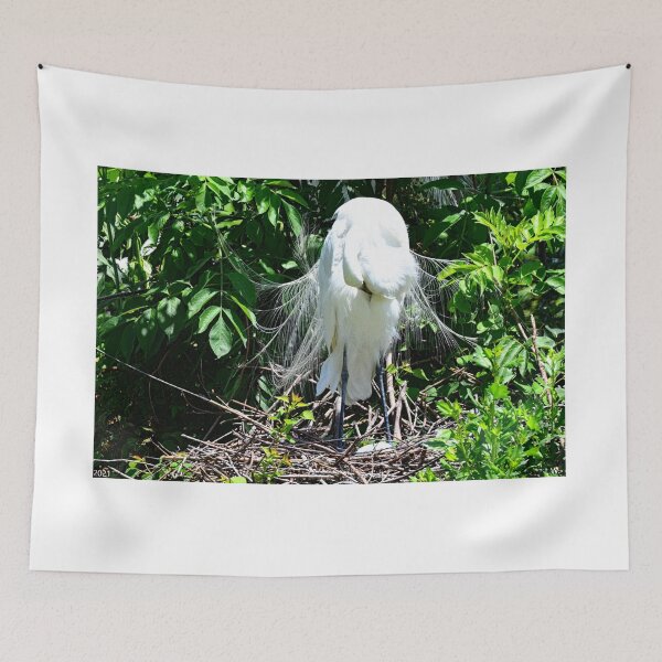 Item preview, Pruning Great Egret designed and sold by LisaWootenPhoto.
