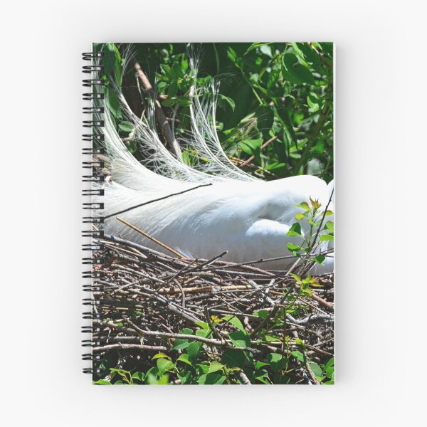 Item preview, A Great Egret Sitting On Her Nest designed and sold by LisaWootenPhoto.