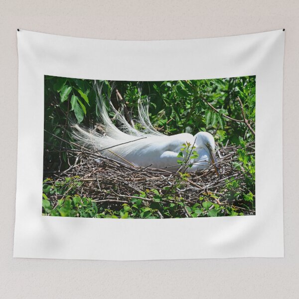 Item preview, A Great Egret Sitting On Her Nest designed and sold by LisaWootenPhoto.