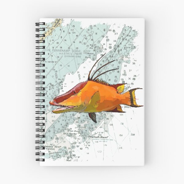 Item preview, Hogfish on a Chart designed and sold by jenncapo.