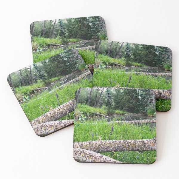 Item preview, Urban park scenery designed and sold by CanadianWild418.