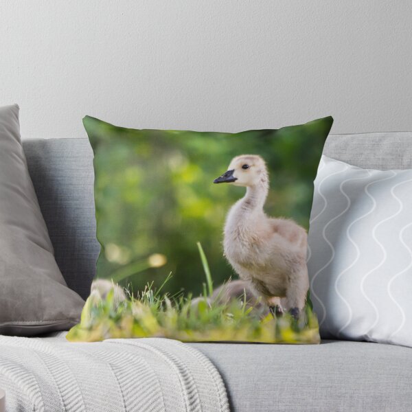 Item preview, Baby Geese in the Morning Light  designed and sold by Parker Cunningham.