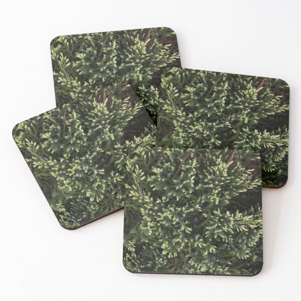 Item preview, dark moody green spruce forest layout designed and sold by Club Nostalgic.