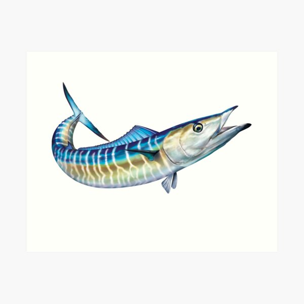 Kingfish Fishing Art Print Gift for a Fisherman, Fish Painting, Fish Art,  King Mackerel Fishing Art, Hand-signed by the Artist -  Sweden