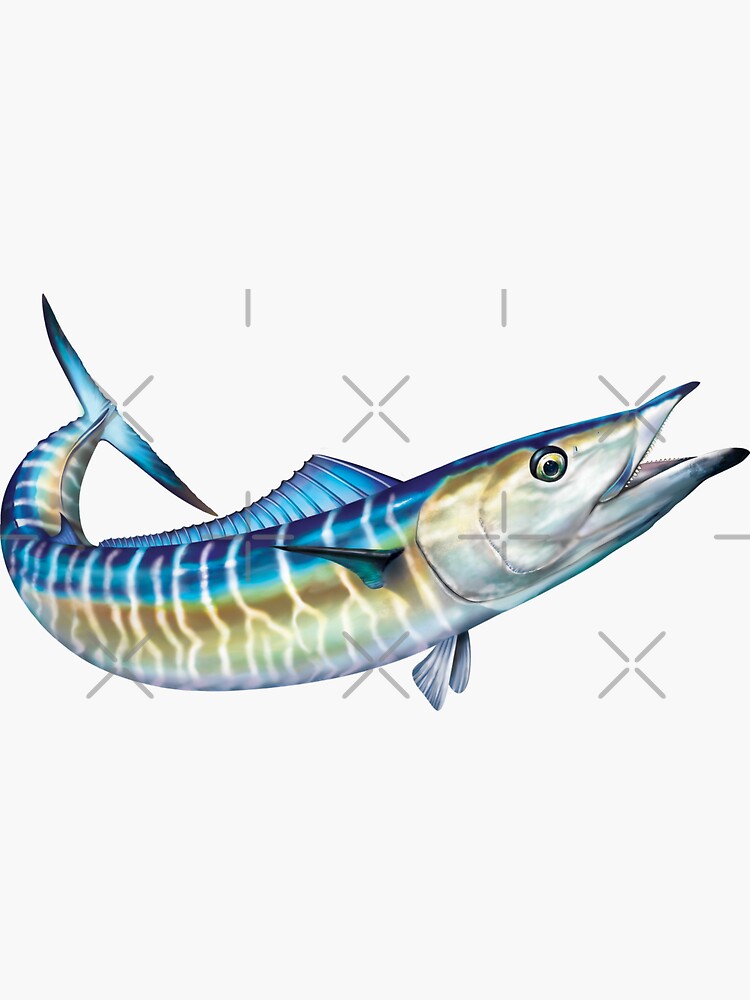 team wahoo Sticker for Sale by robinauts