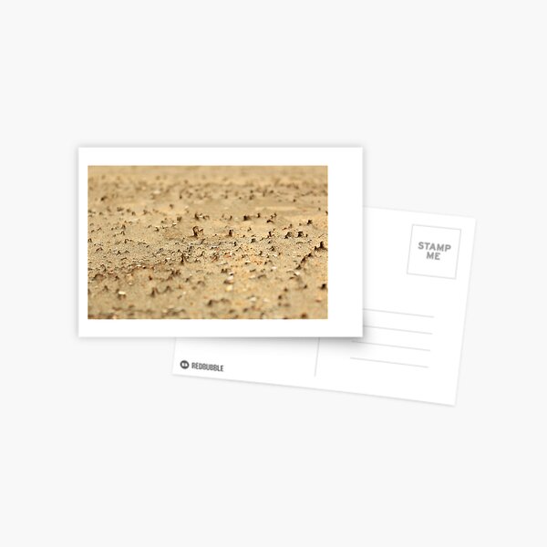 Miniatures on the sand Postcard