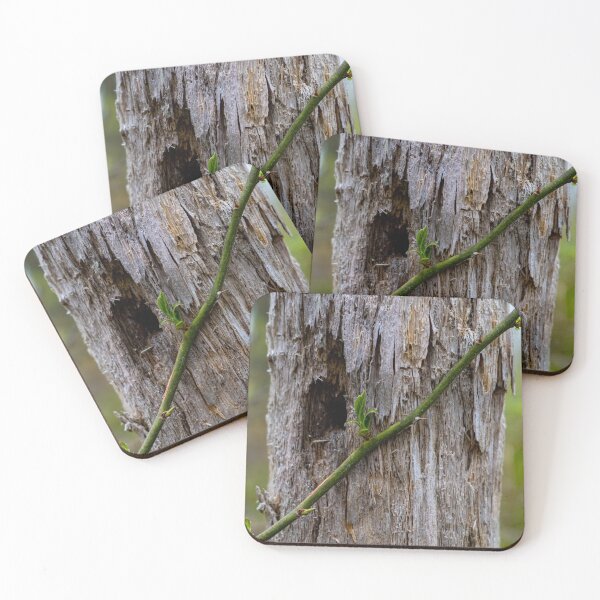 Item preview, Lonely Vine designed and sold by Daniel's Destinations.