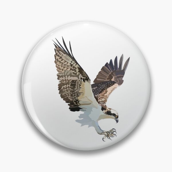 Item preview, O is for Osprey,Osprey – Majestic Fish-Eating Bird of Prey designed and sold by PrettylittlepastelUk.