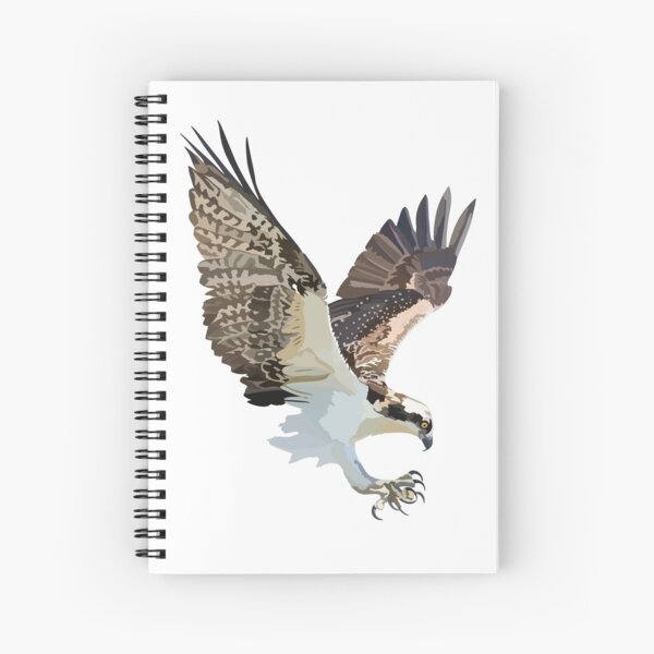 Item preview, O is for Osprey,Osprey – Majestic Fish-Eating Bird of Prey designed and sold by PrettylittlepastelUk.