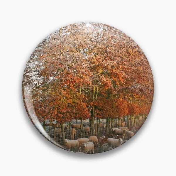 Item preview, Baa, It's Cold Out Here! designed and sold by Geoff Carpenter.