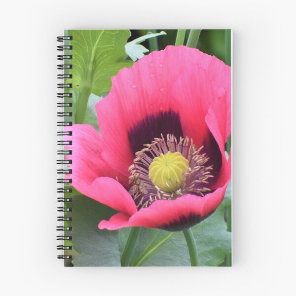 Artikelvorschau, Eine einzelne Mohnblume entworfen und verkauft von Meggie-moos.