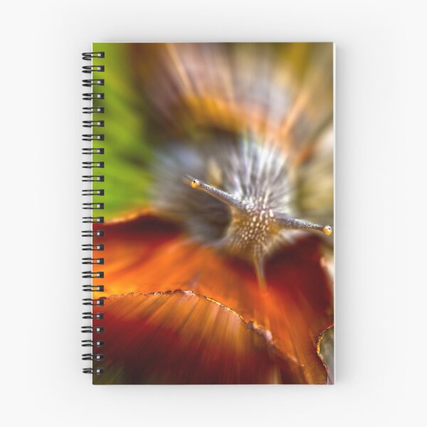 Item preview, A Snail's Pace designed and sold by Geoff Carpenter.