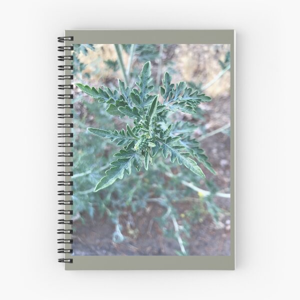 Item preview, Bush designed and sold by nydiavillarreal.