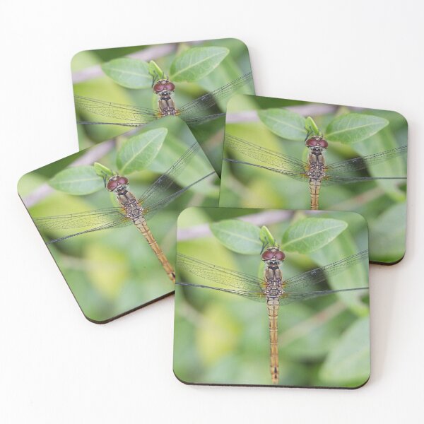 Item preview, I love insects, dragonfly designed and sold by ART-SUNRISE.