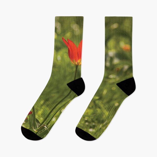Item preview, Spring tulips designed and sold by Dominika Aniola.