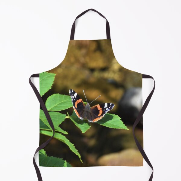 Artikelvorschau, Schmetterling 2 entworfen und verkauft von Meggie-moos.