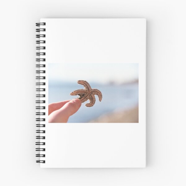 Aperçu de l'œuvre l'étoile de mer créée et vendue par flightlessXbird.