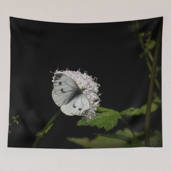 Artikelvorschau, Weißer Schmetterling auf Blumen entworfen und verkauft von Meggie-moos.