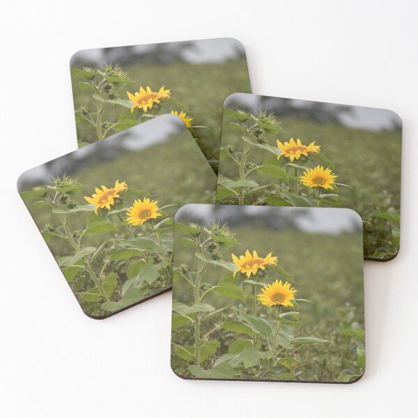 Artikelvorschau, Sonnenblumen entworfen und verkauft von Meggie-moos.