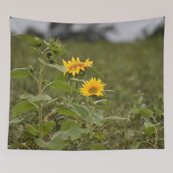 Artikelvorschau, Sonnenblumen entworfen und verkauft von Meggie-moos.