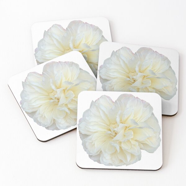 Item preview, Bodegón Floral Crema Flor Rosa Fotografía designed and sold by CottoVerdi.