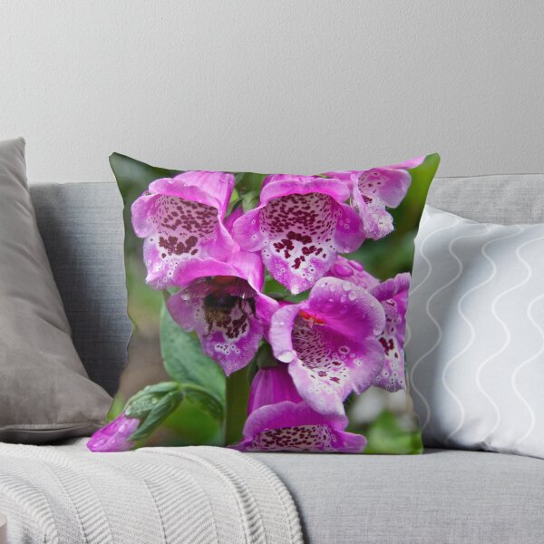 Item preview, Spot the Bee designed and sold by John Thurgood.
