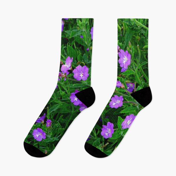 Item preview, A Beautiful Crop of Wild Lobelia designed and sold by Karen Thomson.