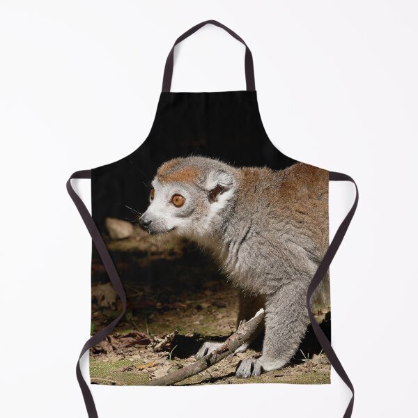 Item preview, r1104/ Finition 2021 Les Primates: Lémurien " le Maki Couronné " 2016 (c) Olavia-Olao Okaio Créations designed and sold by o.okaïo.