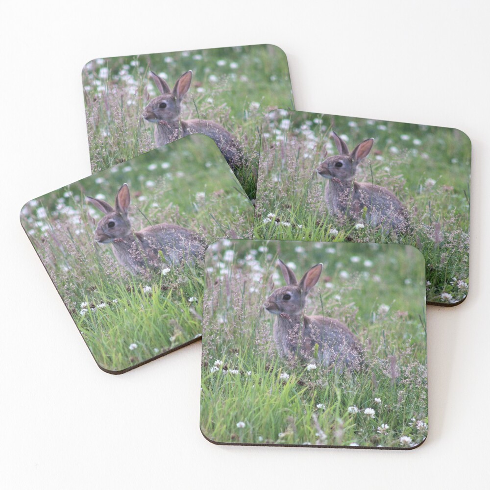 Item preview, Coasters (Set of 4) designed and sold by Ladymoose.